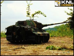 camouflage-king-tiger-57